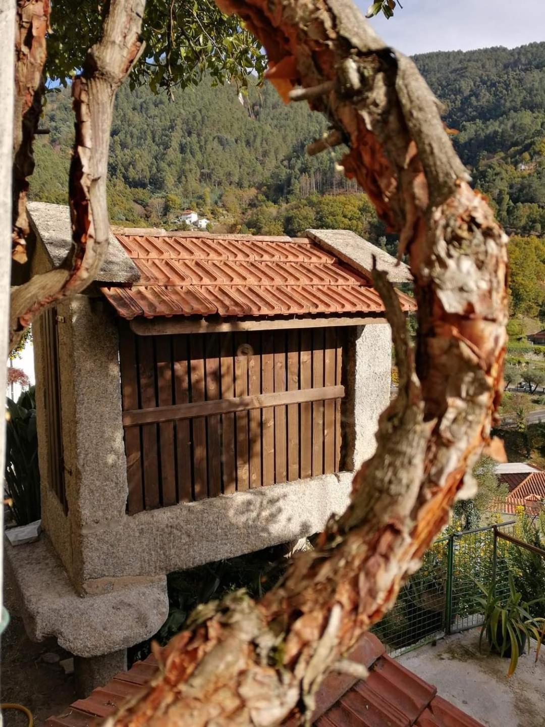 Villa Tea House Geres - T1 Hipericao Exterior foto
